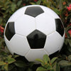 Classic Black and White Panels Soccer Ball